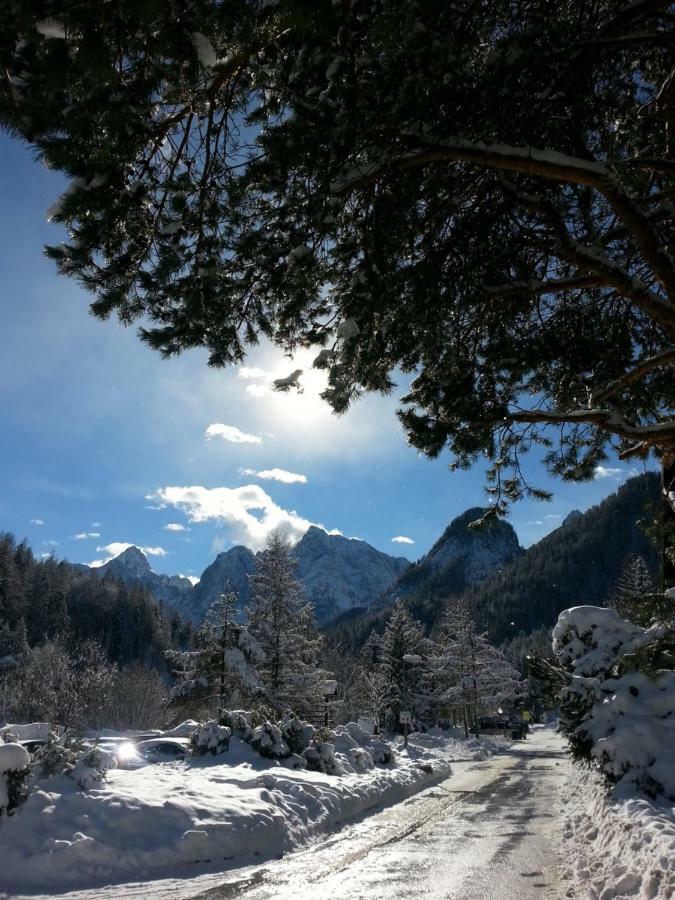 Apartmaji Gros Kranjska Gora Zewnętrze zdjęcie